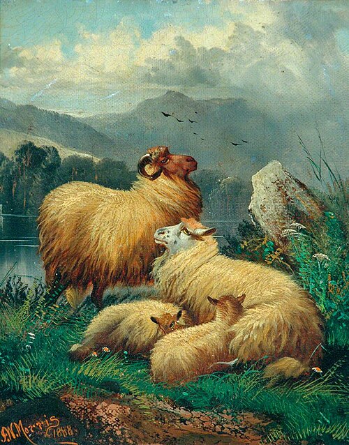 Highland Sheep, 1888, John W. Morris