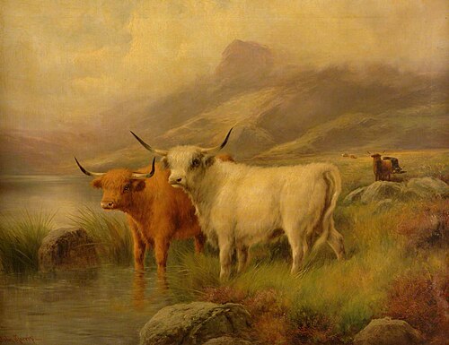 Cattle, , John W. Morris