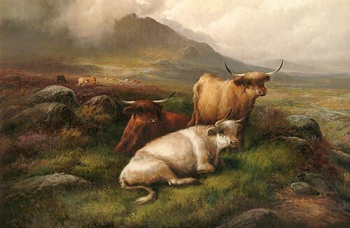 Cattle, , John W. Morris