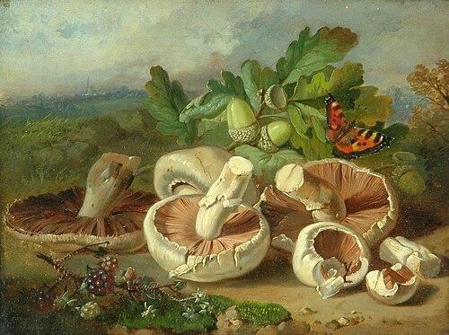 Still Life with Mushrooms, 1859, John Wainwright