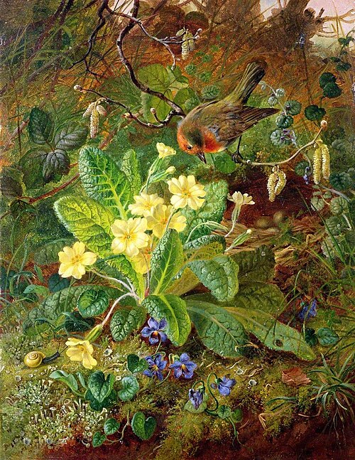Primrose and Robin, 1864, John Wainwright