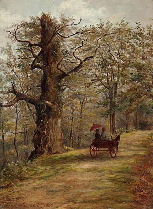 The Watch Tree, Cadzow Forest, 1887, George Sweet