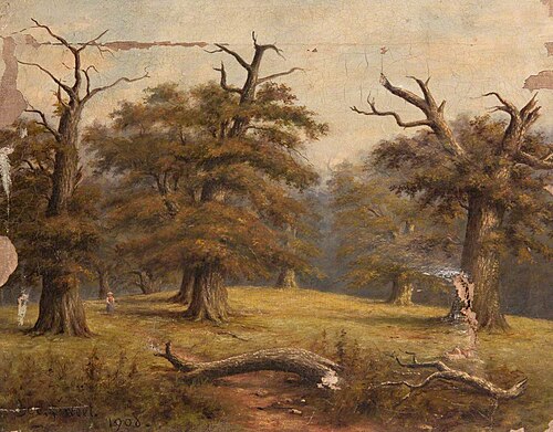 Cadzow Forest, 1908, George Sweet