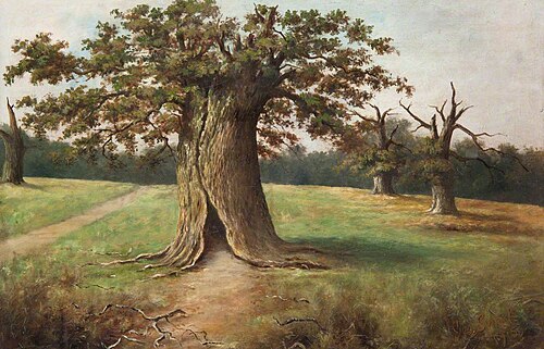 Boss Oak, Cadzow Forest, 1915, George Sweet