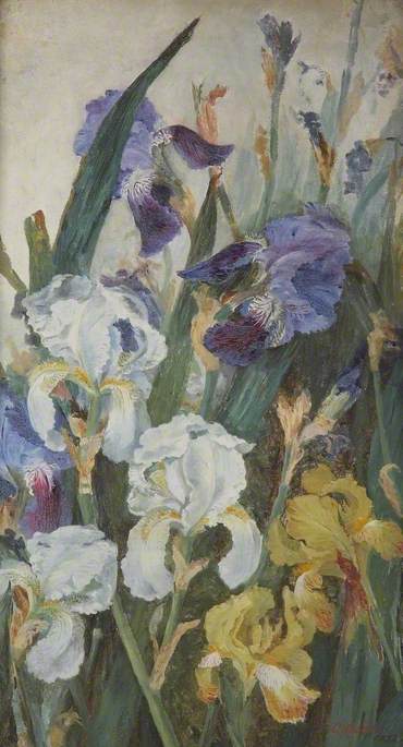Irises, 1882, Charlotte Hodder