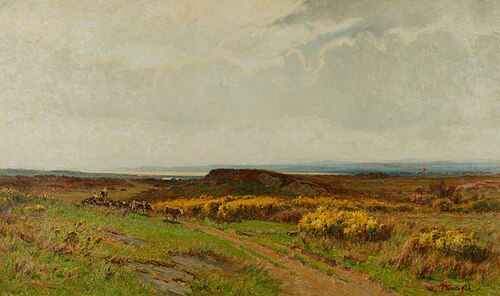 An Anglesey Common, , Chisholm Cole