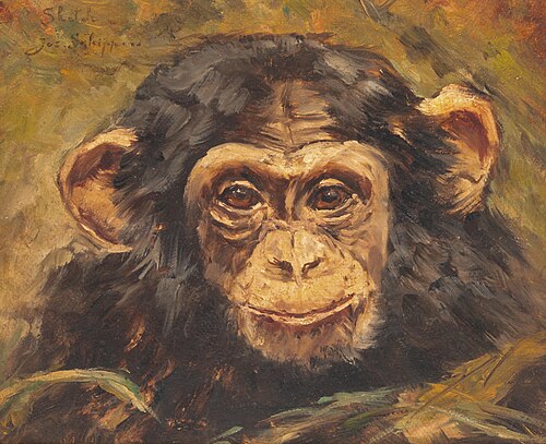 Portrait of a chimpanzee, 1887, Jos Schippers