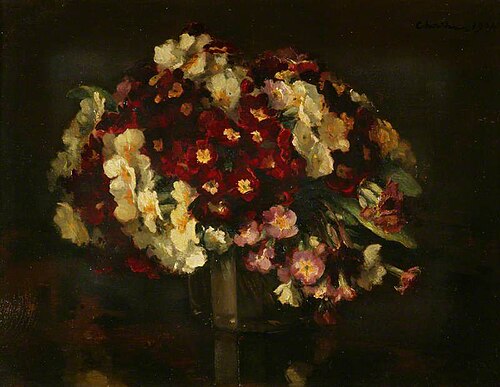 Polyanthus, 1904, Gerard Chowne