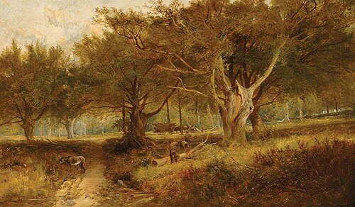 Burnham Beeches, Buckinghamshire, , Joseph Adam