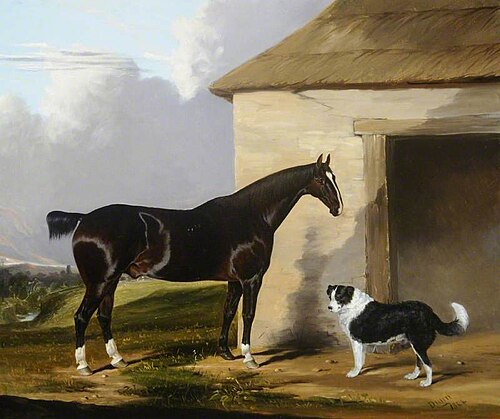 'Sportsman', 1844, Joseph Dunn