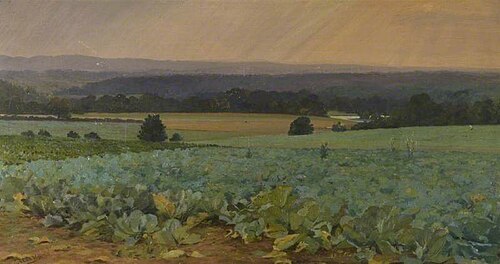 Turnip Field, , William Cossens Way