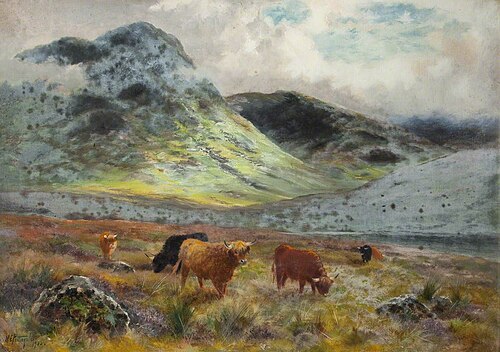 Highland Cattle, 1923, William Edward Pettingale