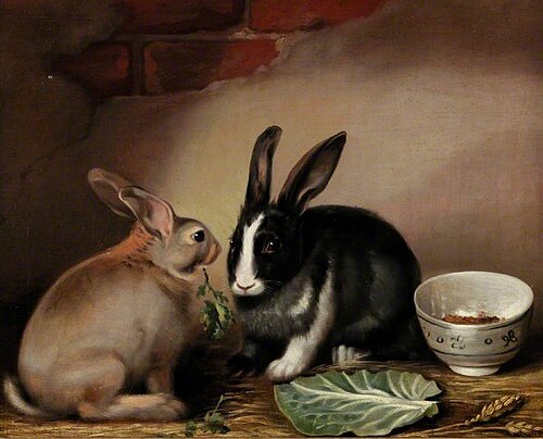 Rabbits, , Joseph Thomas Wilson
