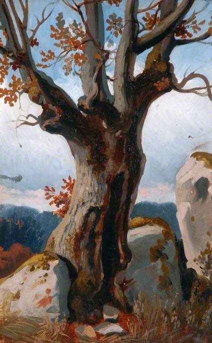 Study of a Tree, 1867, Joséphine Bowes