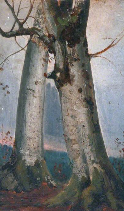 Study of Trees, 1867, Joséphine Bowes