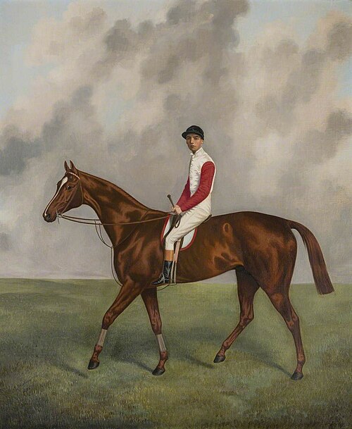 Sir Hugo, 1892, Joshua Dighton