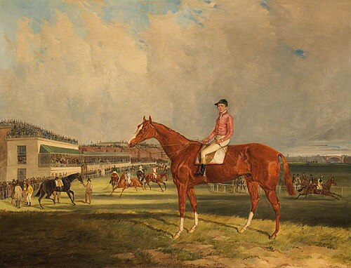 'Millipede' on the Roodee, Chester, 1843, William H. Tasker