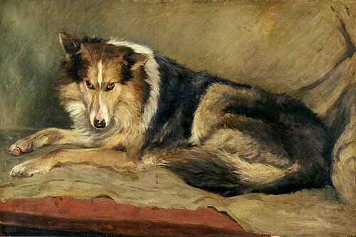 Collie Dog, 1915, William Henry Charlton