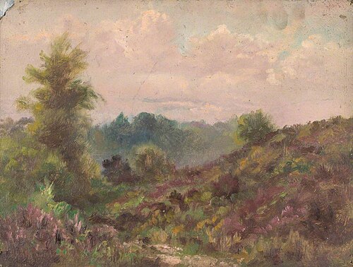 Addington Hills, Croydon, Surrey, July 1892, 1892, William Henry Hope