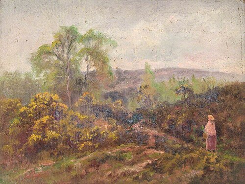 Addington Hills, Croydon, Surrey, 11 May 1892, 1892, William Henry Hope