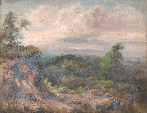 Addington Hills, Croydon, Surrey, 22 June 1892, 1892, William Henry Hope