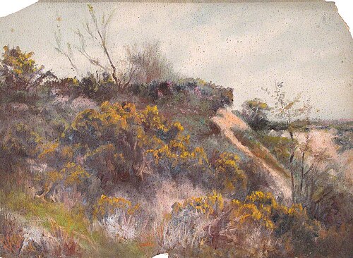 Nouns Heath, May 1896, 1896, William Henry Hope