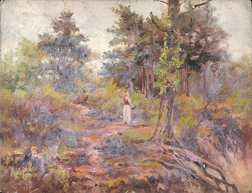 Top of the Pit, Croham Hurst, Croydon, Surrey, 1896, William Henry Hope