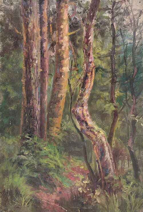 At Addington, Croydon, Surrey, July 1896, 1896, William Henry Hope