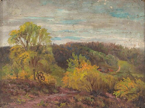 Mallards from Croham Hurst, Croydon, Surrey, 1896, William Henry Hope