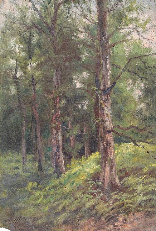 In Addington Park, Croydon, Surrey, 24 June 1897 (The Commencement of the Thunderstorm), 1897, William Henry Hope