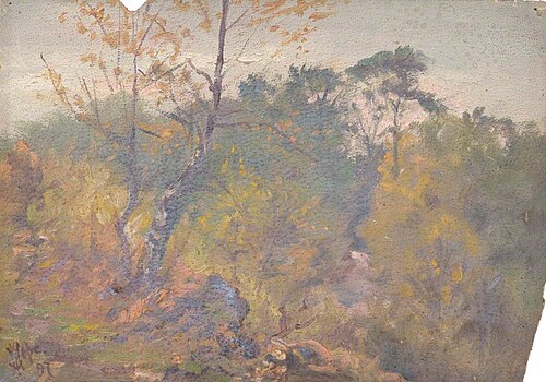 Croham Hurst, Croydon, Surrey, November 1897, 1897, William Henry Hope