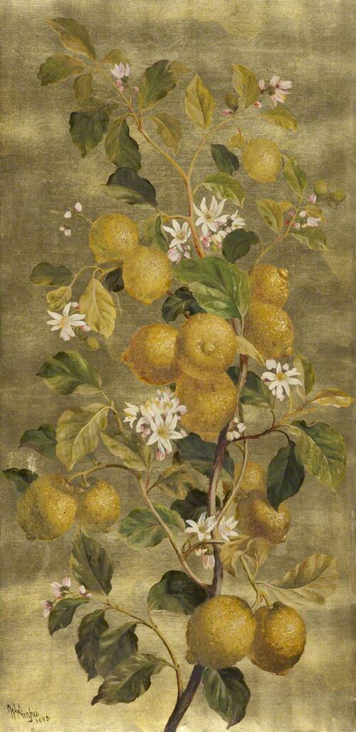 Lemons and Flowers, , William Hughes