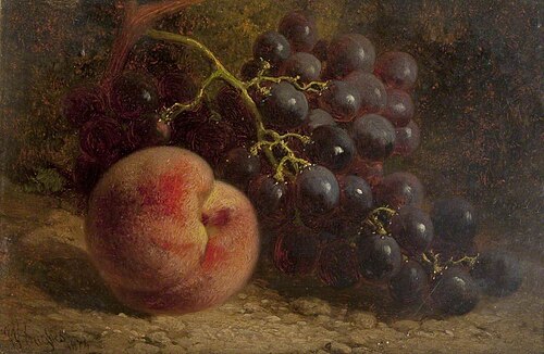 Still Life of Fruit, , William Hughes