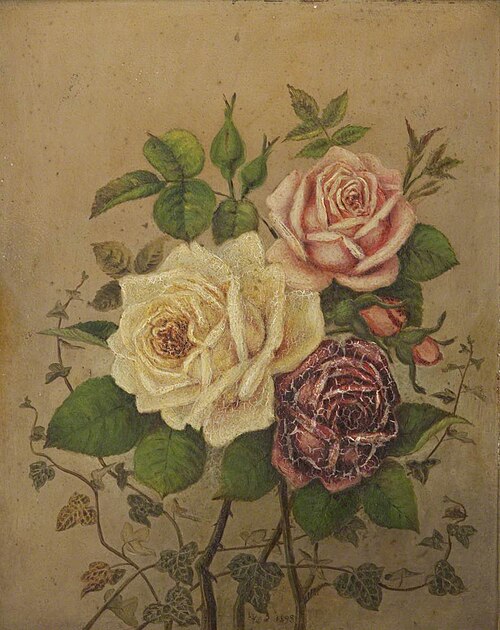 Roses, , William John Dunkin