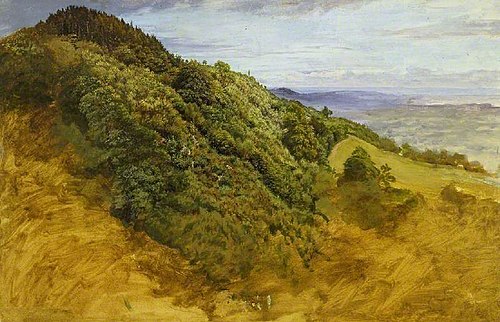 View near Redhill, , William Linnell