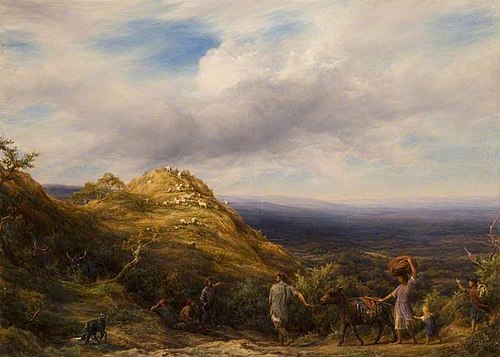 A Wooded Valley And Hill, 1865, William Linnell