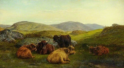 Aberfoyle, Highland Cattle, , William Luker