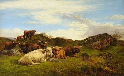 Highland Cattle, , William Luker