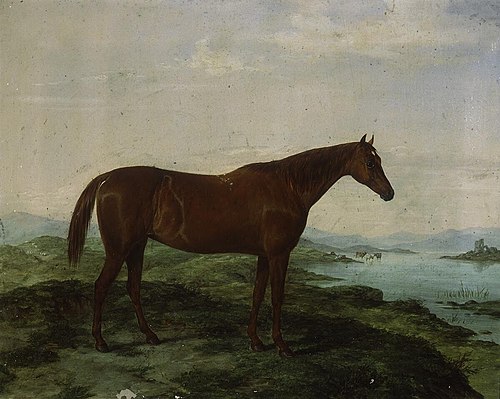 Portrait of hunter Molly Hick, 1860, William Luker