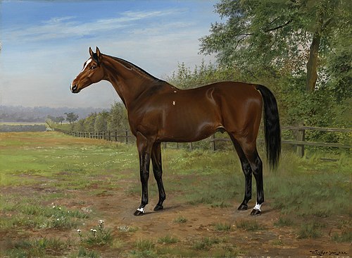 Florizell II, 1898, William Luker II