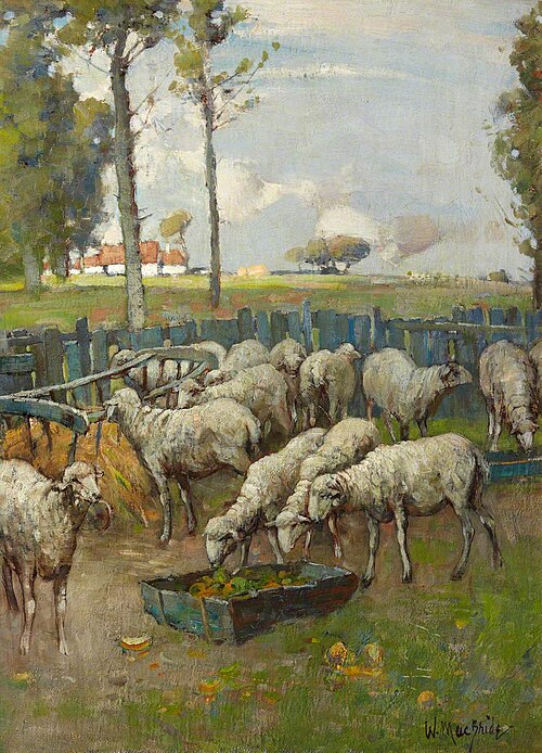 The Sheepfold, , William MacBride