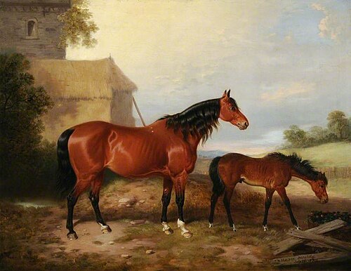 Mare and Foal, 1854, William Malbon