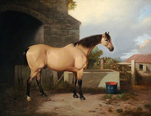 Horse in a Stable Yard, 1854, William Malbon