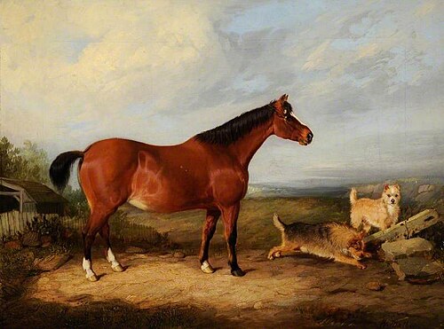 'Sally', , William Malbon