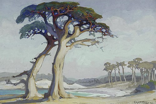 Evening, Monterey Cypress, California. 1926, , Kitty Vane
