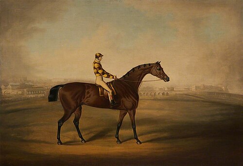 Sir John Clifton's 'Brutandorf' on the Roodee, Chester, 1826, Daniel Clowes
