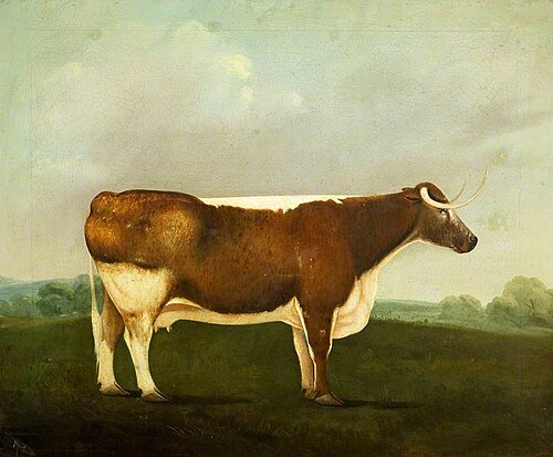 'Old Nell', 1824, Daniel Clowes
