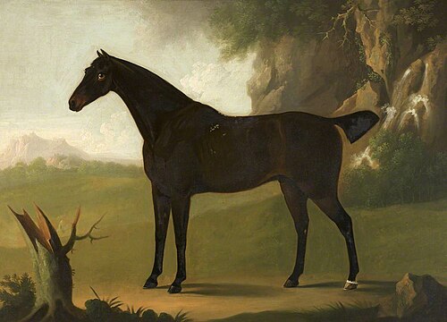 A Bay Hunter, 1811, Daniel Clowes