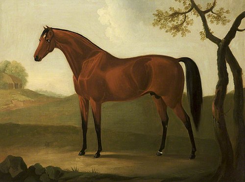 A Chestnut Hunter, 1811, Daniel Clowes