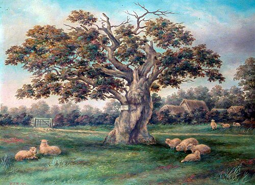 Cowper's Oak, 1914, William Samuel Wright